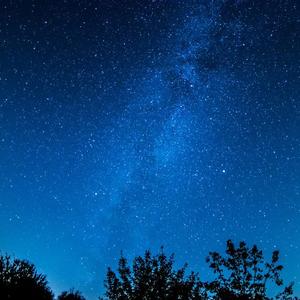 老婆和狗哪个了
