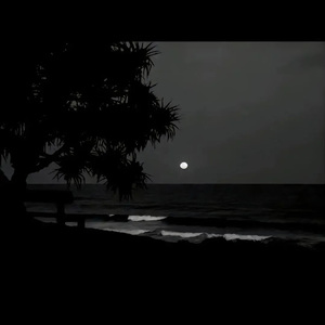 老婆和狗哪个了
