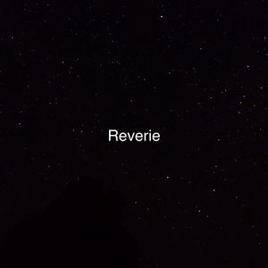 老婆和狗哪个了
